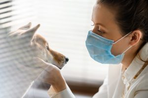 efeitos-coronavirus-caes-gatos