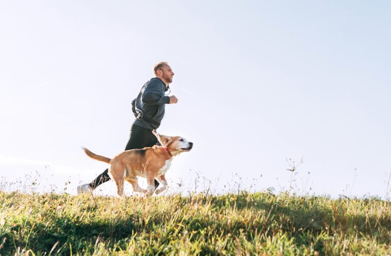 5 benefícios das atividades físicas para os cães