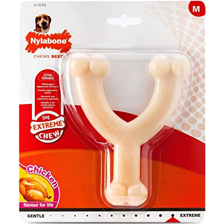 Nylabone Dog Extreme Chew Wishbone