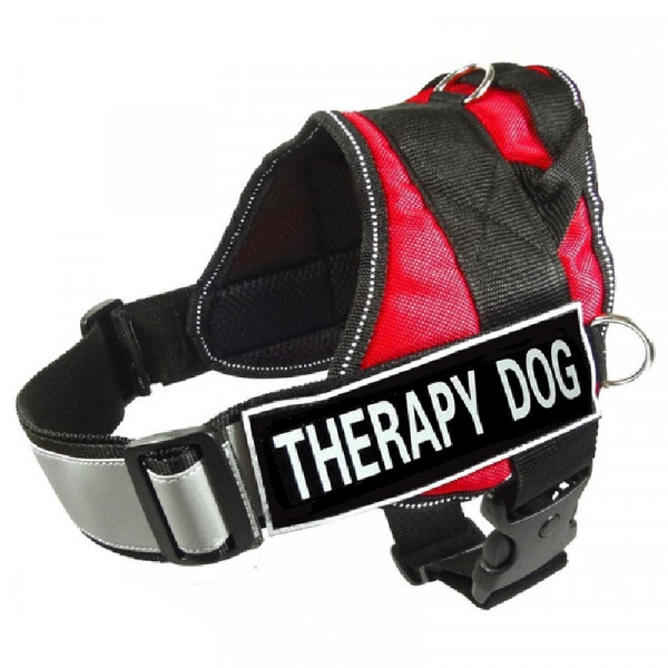 Peitoral Therapy Dog
